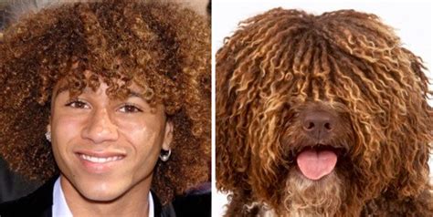 21 You Are Dog Now Pictures That Prove We Are All Dogs Celebrity Dogs