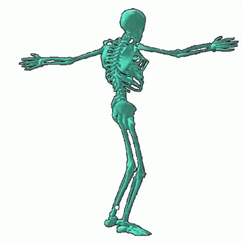 Skeleton Dance Sticker Skeleton Dance Moves Discover Share GIFs