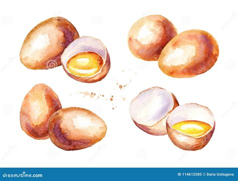 Eggs Set Watercolor Hand Drawn Illustration Isolated On White