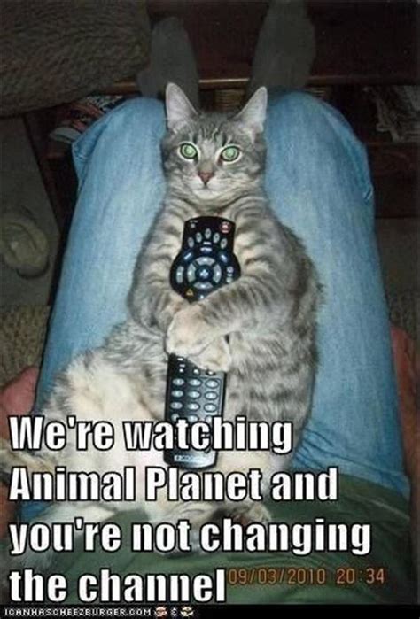 Cool and funny animal pictures! Funny Animal Pictures Of The Day - 25 Pics: | Funny animal ...