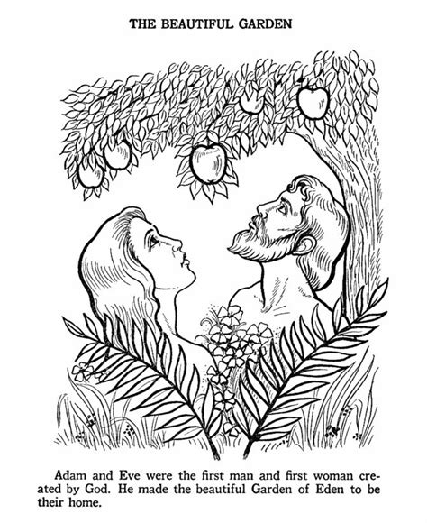 Free Coloring Page Genesis Chapter 2 Adam And Eve Morgan Harper