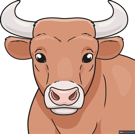 How To Draw A Bull Head And Face Really Easy Drawing Tutorial