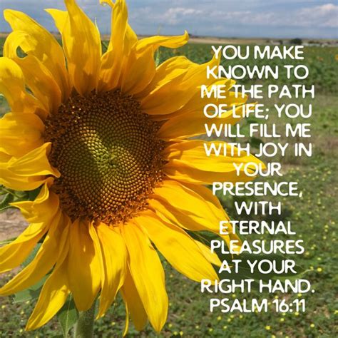 Pin By Linda Thompson On Bible Quotes Life Path
