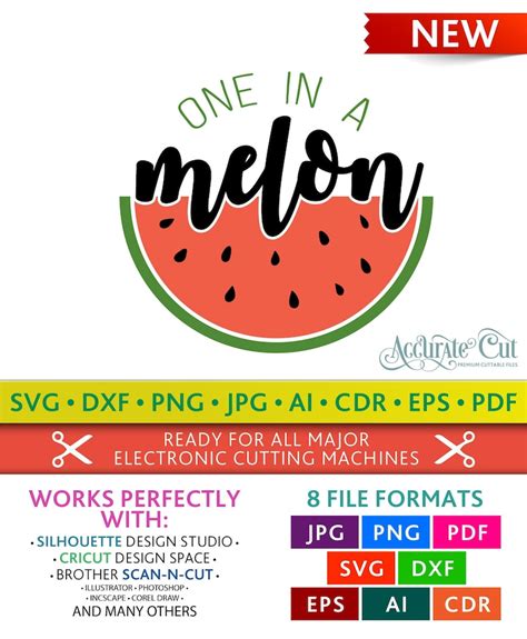 One In A Melon Svg One In A Melon Cut Files Cricut Silhouette Etsy