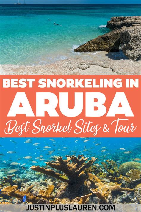 Best Snorkeling In Aruba Aruba Snorkeling Tour And Top Sites