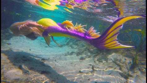 I Spotted Mermaid Yellow And Purple Mermaid Swimming Youtube
