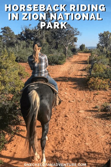 Zion Canyon Horseback Riding At Zion Mountain Ranch One Chel Of An