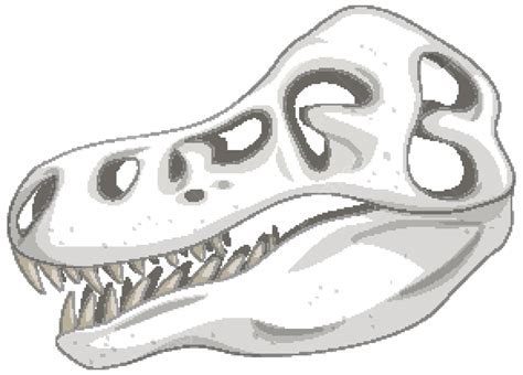 Dinosaur Skeleton On White Background Picture T Rex Ancient Vector