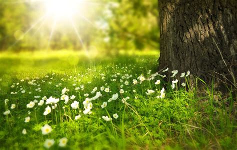 First Day Of Spring 2023 When Is The Spring Equinox Fun Facts About