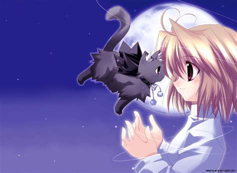 Anime Cute Kawaii Galaxy Wallpaper Cat Cute Anime Cat Girl Anime