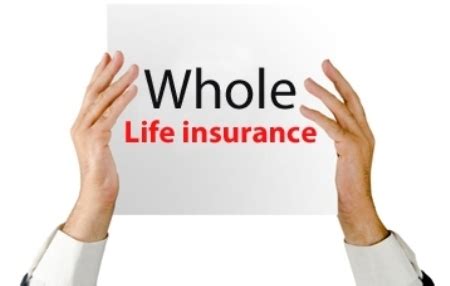 Maybe you would like to learn more about one of these? Term Life Insurance Vs Whole Life Insurance | Your Personal Financial Mentor