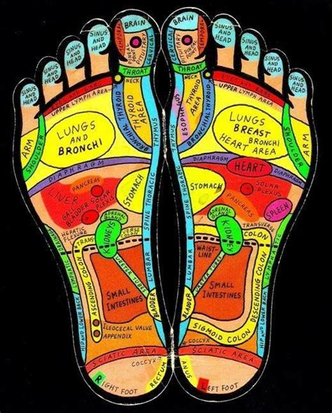Men women slipper sandal foot massage reflexology acupressure therapy slippers. Pin by Artemis Andronikidou on RPG (With images ...