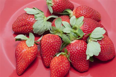 Plate Of Juicy Ripe Strawberries Free Stock Image