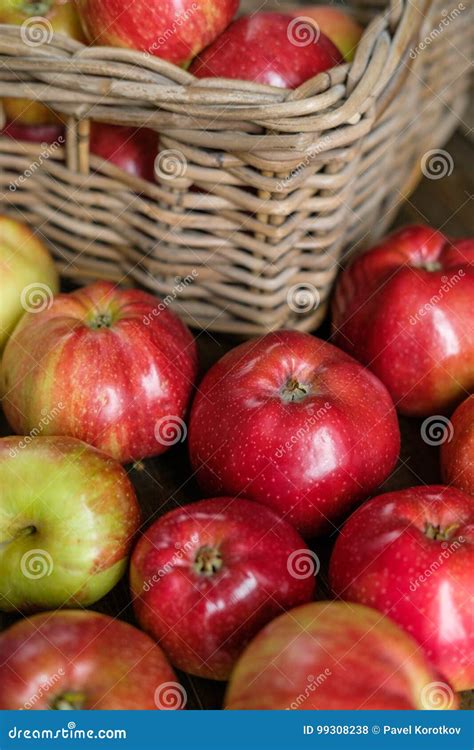 Basket With Red Ripe Apples Stock Photo Image Of Apples Organic
