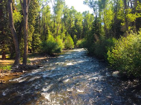 A river is a natural waterway that conveys water derived from precipitation from higher ground to lower levels. Elk Creek of Conejos River
