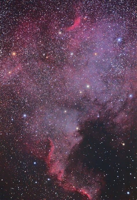 Ngc North America Nebula Astronomy Pictures At Orion Telescopes