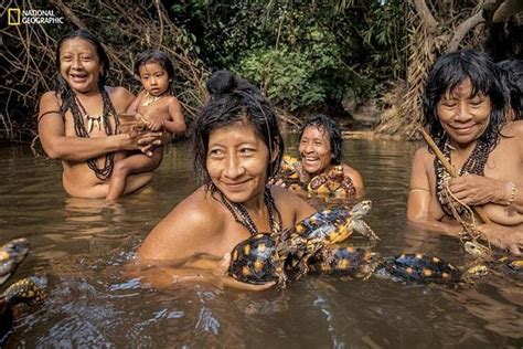 Amazonda Yaşam Savaşı Awá Kabilesi Kanun Kaçakçılarının Tehditi Altında