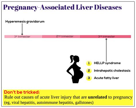 Pregnancy Associated Liver Diseases Medicine Keys For MRCPs