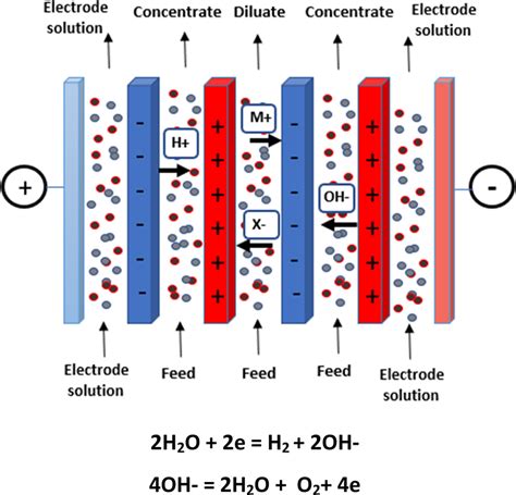Electrodeionization For The Bio Succinic Acid Production Process Acs