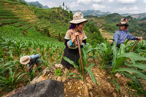 Siya ay si giorgos kentrotas. Lào Cai Province of Northern Vietnam | Travel Photographer ...