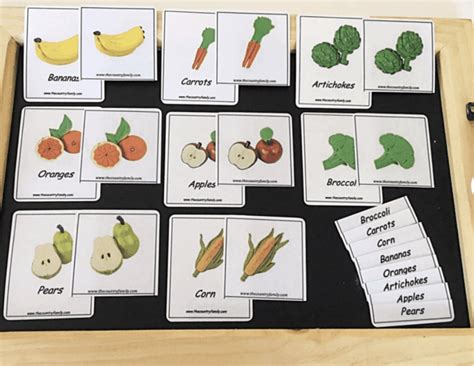 Montessori Language Cards And Materials A Complete Guide