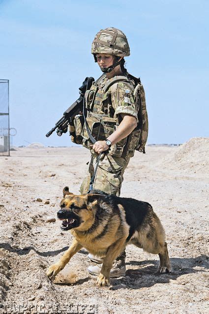 German Shepherd Military War K9 And Handler May God Bless And Protect You