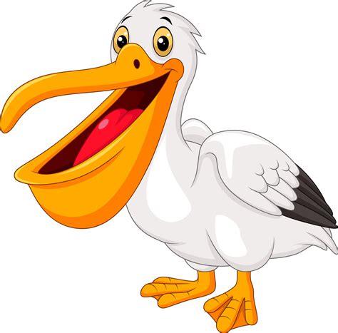 Pelicano Dos Desenhos Animados Isolado No Fundo Branco 8733823 Vetor No