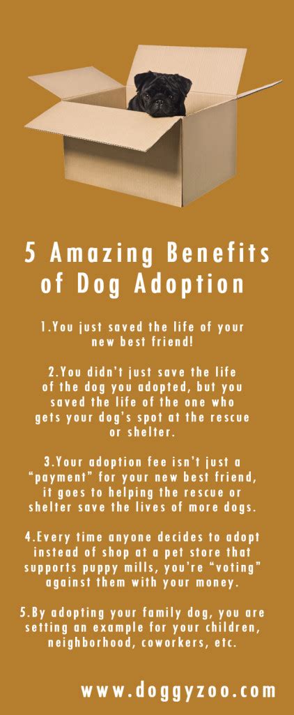 5 Amazing Benefits Of Dog Adoption