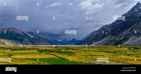 Rawu Nyingchi Tibet The Beautiful Landscape Of Golden Field With