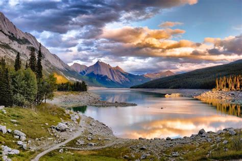11 Epic Views Youll Only Find In Jasper Canada Wildlife Tour