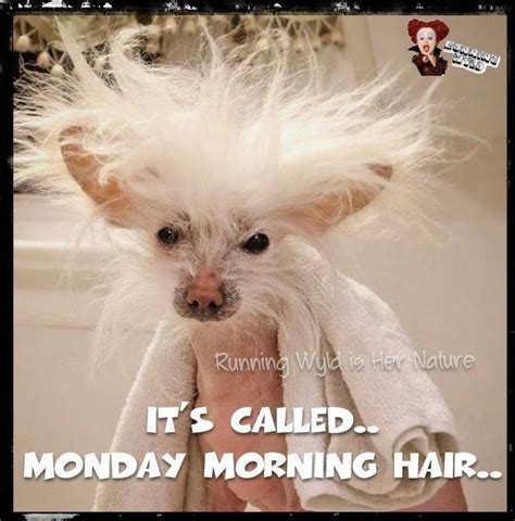 Looks Like Somebody Woke Up To A Bad Hair Day😂😂😂😂 Mondaymadness