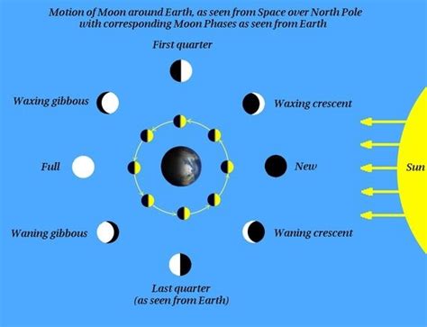 Phases Of The Moon Diagram