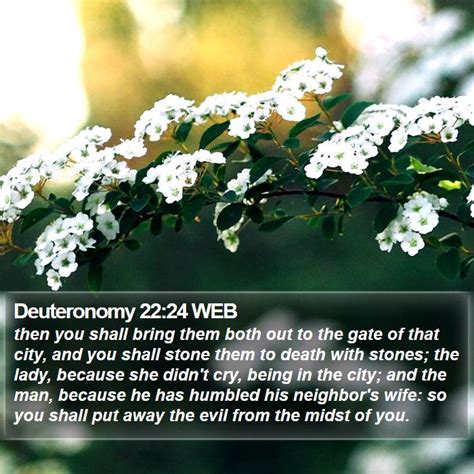 Deuteronomy 2224 Web Then You Shall Bring Them Both Out To The Gate Of