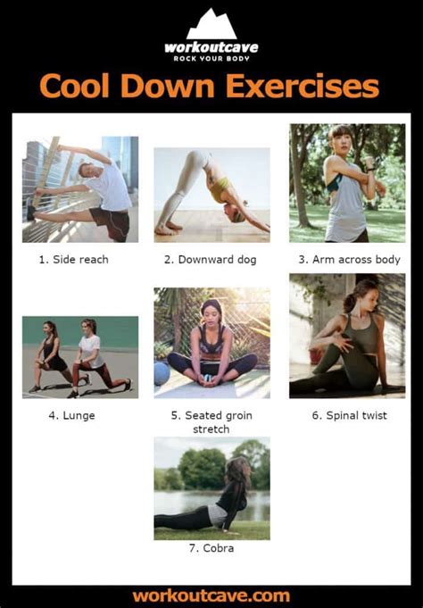 cool down exercises destination for fitness and wellness