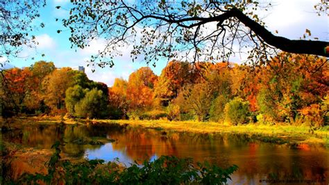 Beautiful Autumn River Important Wallpapers