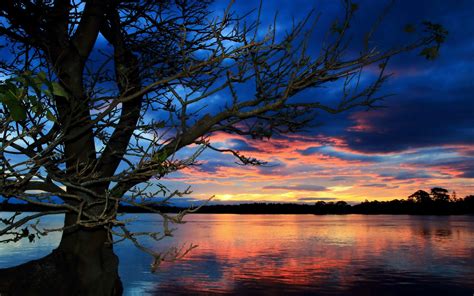 Lake Sunset Tree Landscape Hd Wallpaper