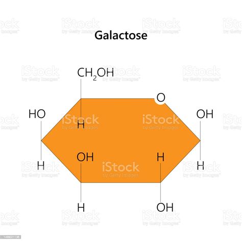 Galactose Molecular Structure Stock Illustration Download Image Now