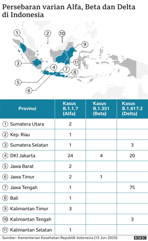 Lonjakan Covid 19 Di Indonesia Varian Delta Dan Varian Lokal