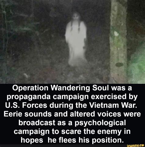 Operation Wandering Soul Was A Propaganda Campaign Exercised By Us