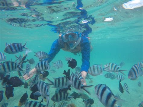 Enam Wisata Bawah Laut Memukau Indonesia | Tagar