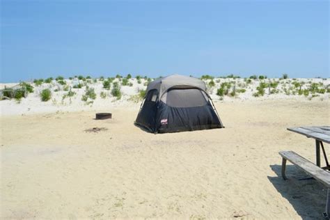 Maryland is calling your name. Tent camping in loop I - Picture of Assateague State Park ...