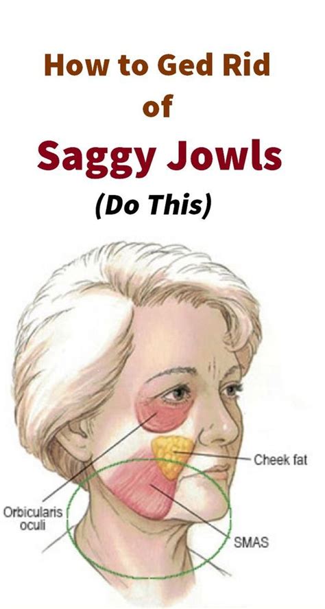 Jowls What Causes Them And How To Get Rid Of Them Sagging Skin