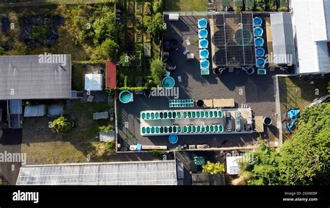 Aerial View Of An Aquaculture Facility In Hawaii Oahu Hawaii Usa