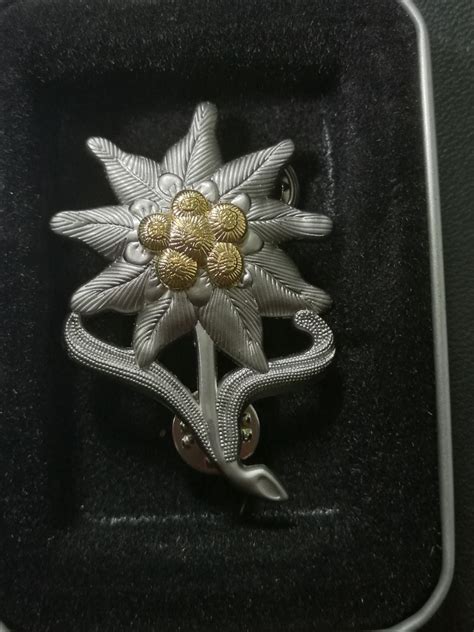 Ww2 German Army Elite Edelweiss Mountain Troops Hat Badge With Box In