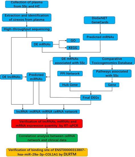 Frontiers Identification Of Lncrnamirnamrna Networks In Circulating