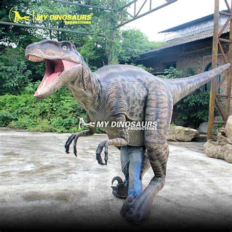 Dc 111 Realistic Dinosaur Costume Raptor Costume My Dinosaurs