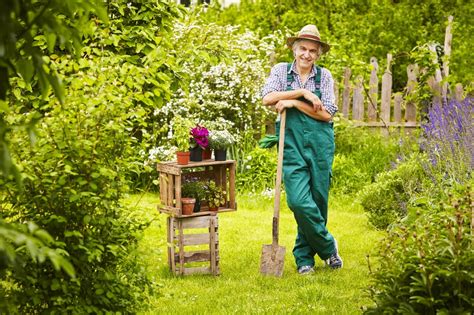 Entretien de jardin : quel budget moyen à l'heure ou annuel prévoir