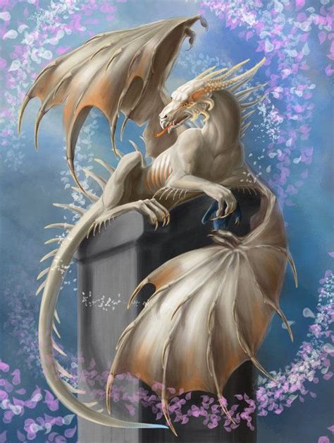 White Dragon Fantasy Dragon Dragon Pictures Dragon Art