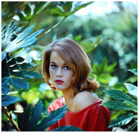 A Glorious Collection Of Jane Fonda Photographs Flashbak