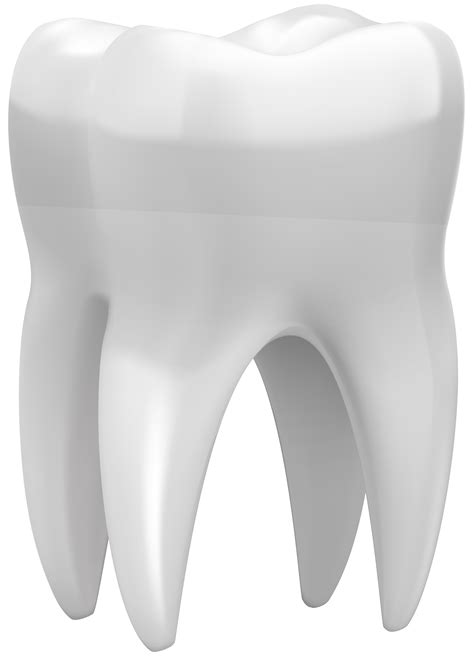Free Png Tooth Free Download